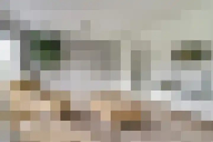Salomonsakker 50 Hedel thumbnail 5