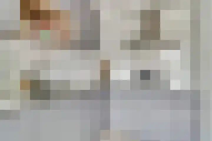 Salomonsakker 50 Hedel thumbnail 6
