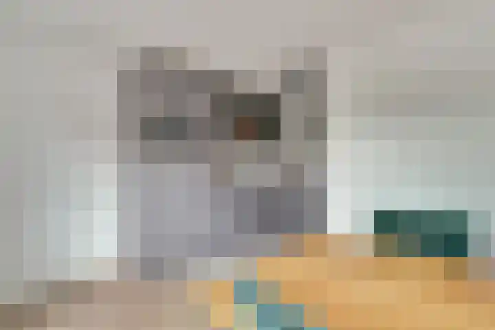 Salomonsakker 50 Hedel thumbnail 9