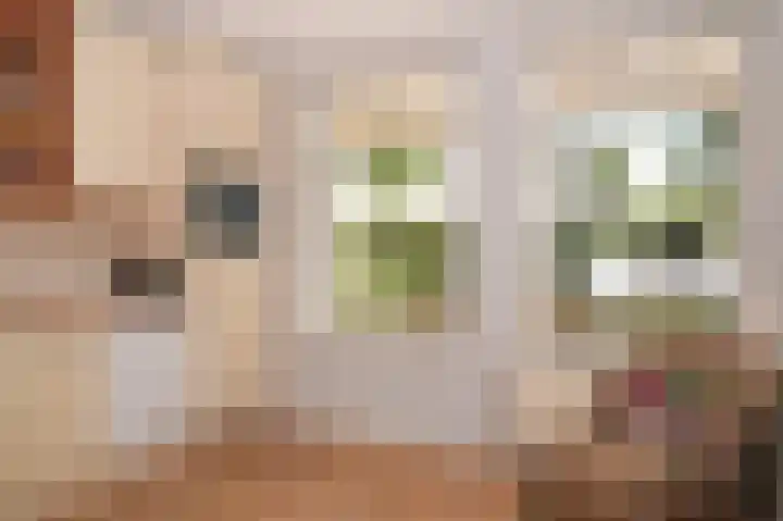 Salomonsakker 56 Hedel thumbnail 12