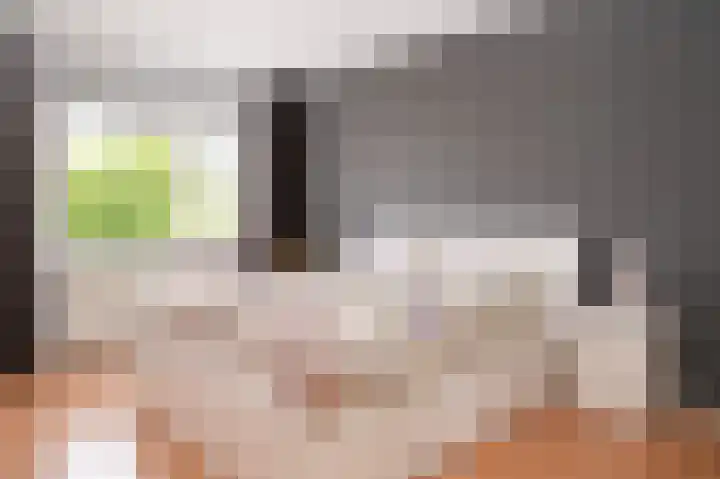 Salomonsakker 56 Hedel thumbnail 18