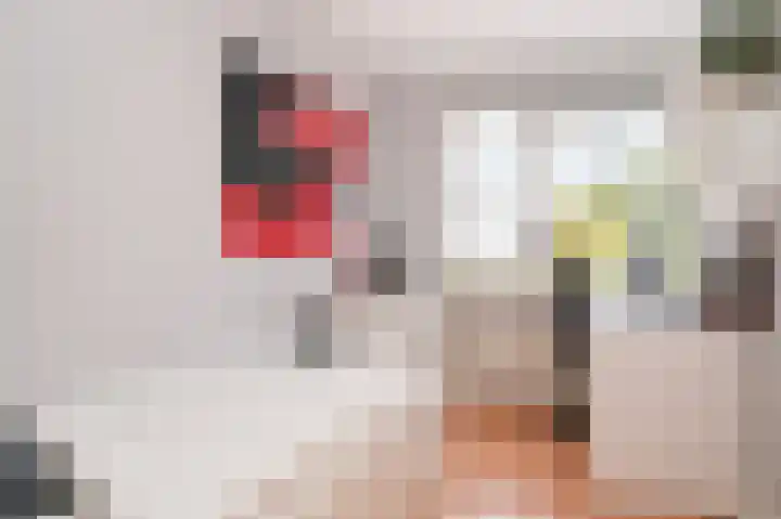 Salomonsakker 56 Hedel thumbnail 23