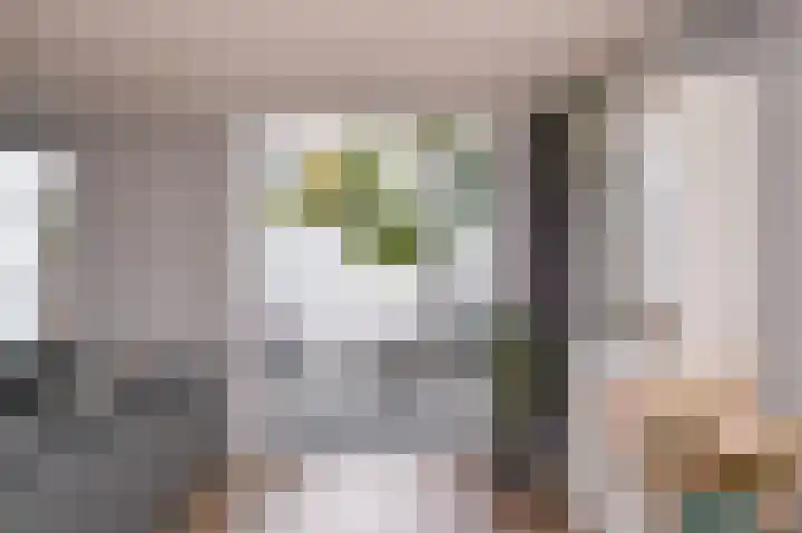 Salomonsakker 56 Hedel thumbnail 27