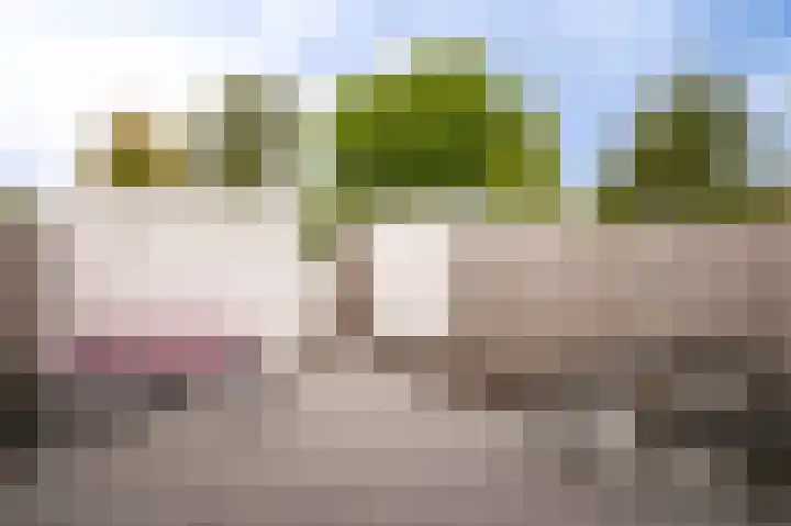 Salomonsakker 56 Hedel thumbnail 28