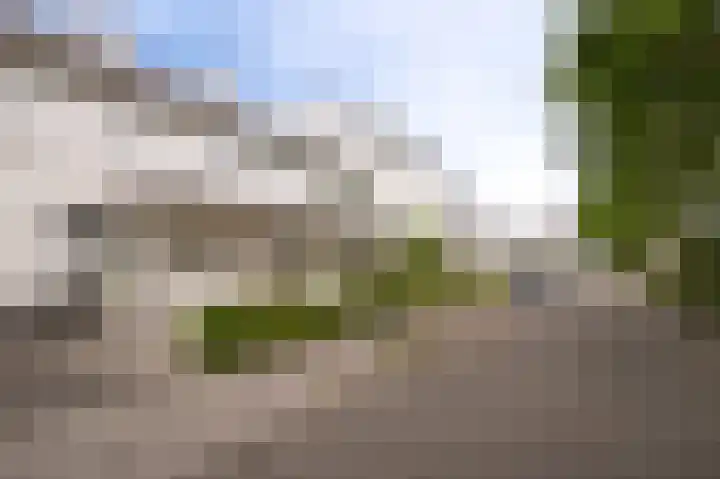 Salomonsakker 56 Hedel thumbnail 31