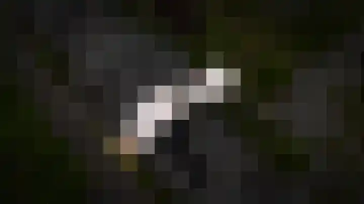 Salomonsakker 56 Hedel thumbnail 32