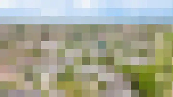 Salomonsakker 56 Hedel thumbnail 33