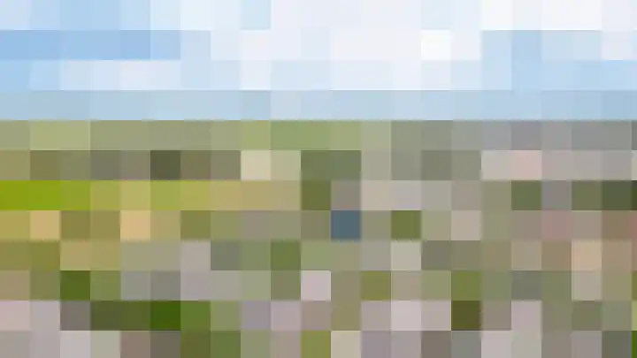 Salomonsakker 56 Hedel thumbnail 35