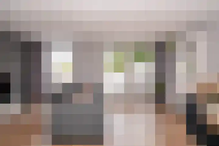 Salomonsakker 56 Hedel thumbnail 6
