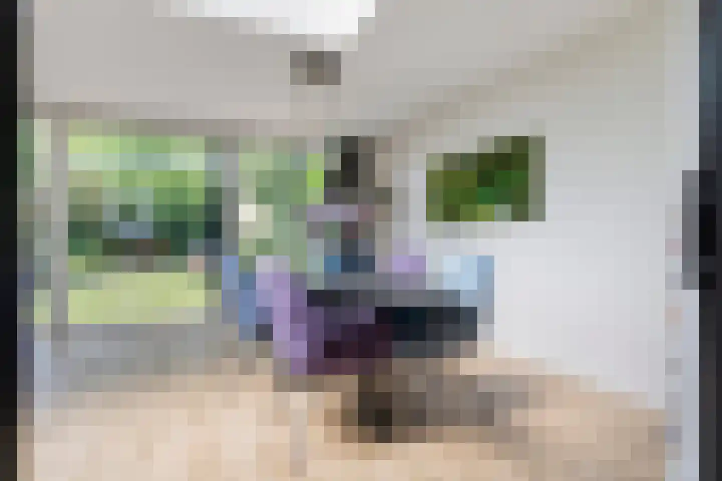 Salomonsonstraat 30 Nijverdal thumbnail 15