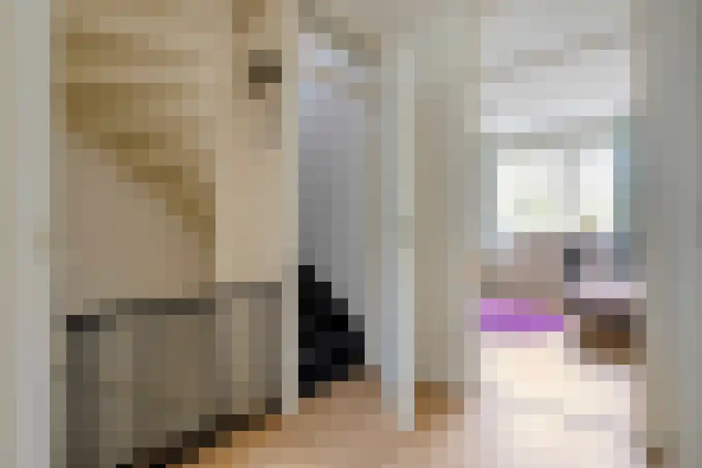 Salomonsonstraat 30 Nijverdal thumbnail 28