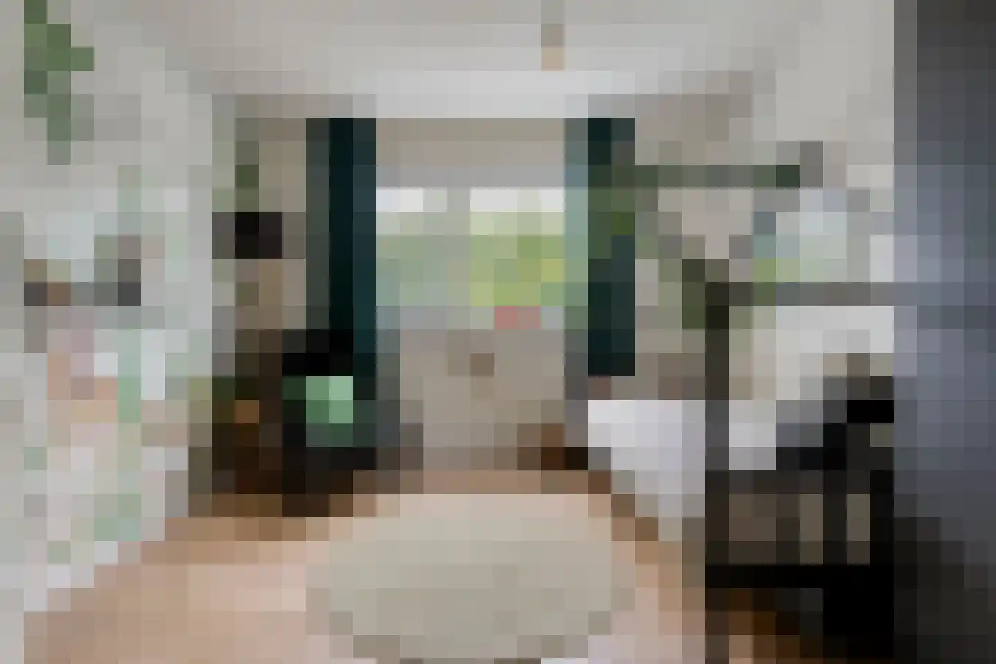 Salomonsonstraat 30 Nijverdal thumbnail 33