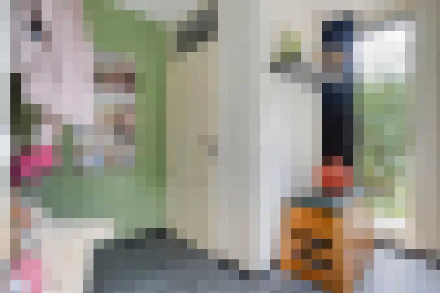Salomonsonstraat 30 Nijverdal thumbnail 4