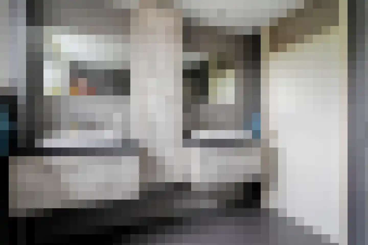 Salomonsonstraat 30 Nijverdal thumbnail 41