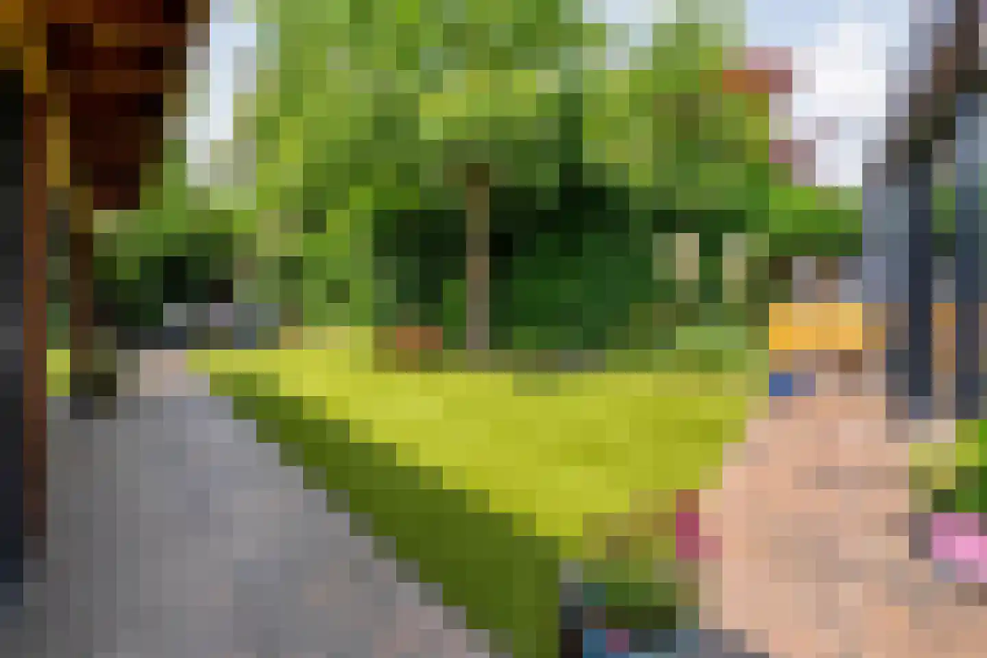 Salomonsonstraat 30 Nijverdal thumbnail 49