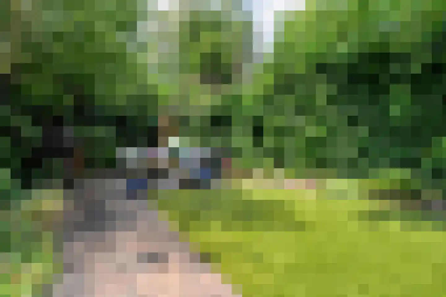 Salomonsonstraat 30 Nijverdal thumbnail 53