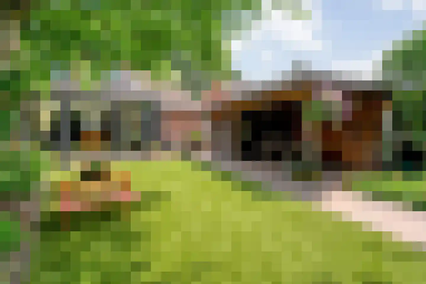 Salomonsonstraat 30 Nijverdal thumbnail 57