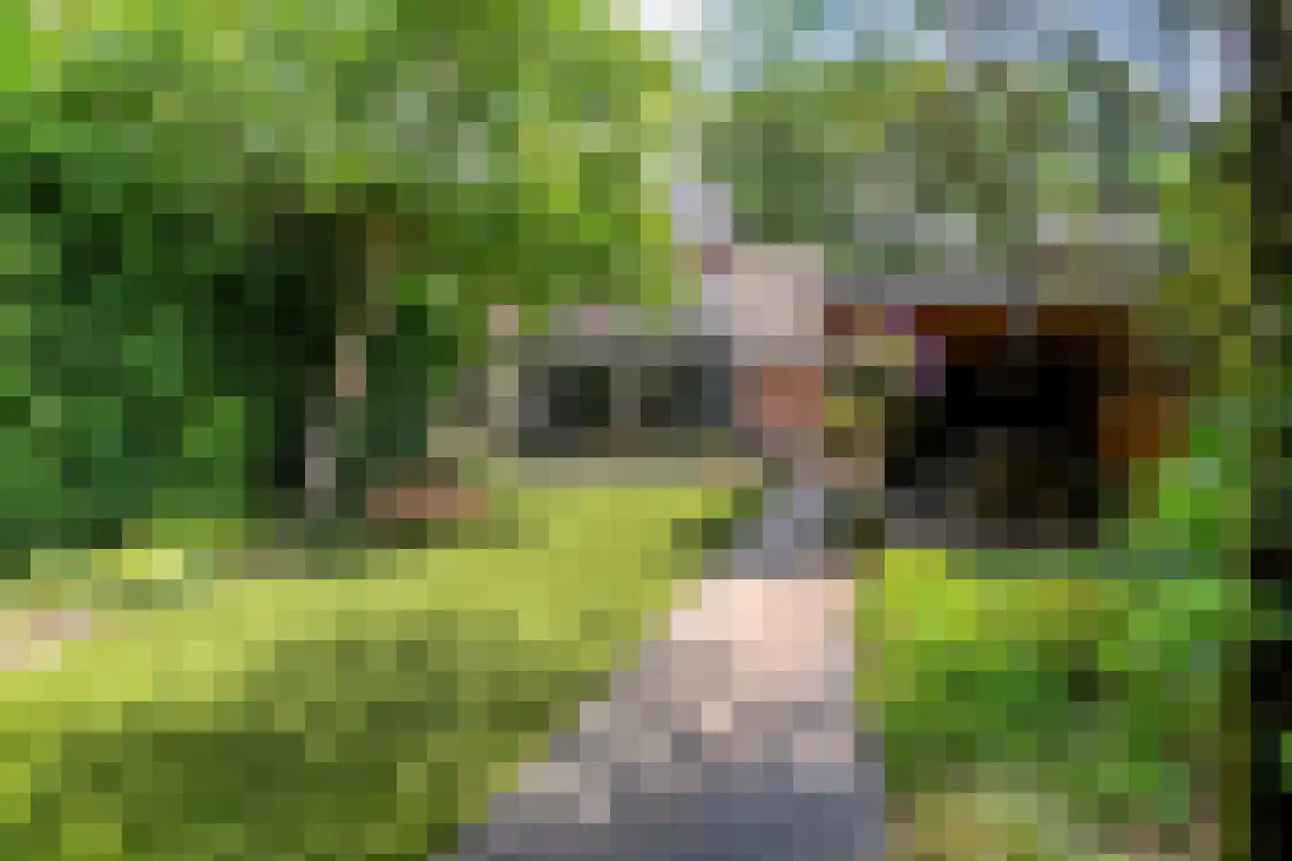 Salomonsonstraat 30 Nijverdal thumbnail 58