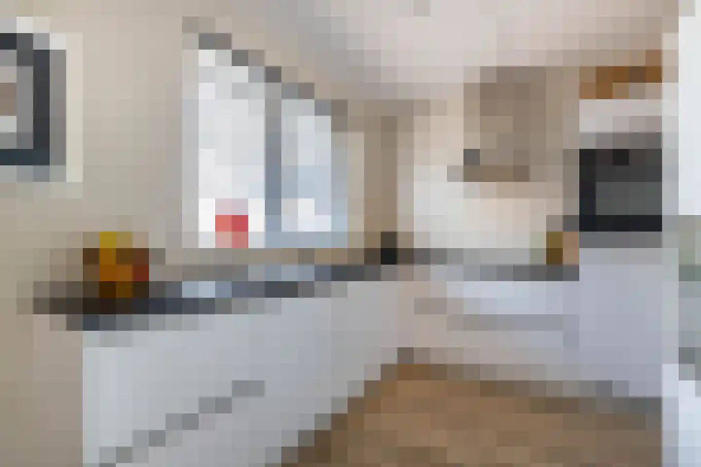 Salomonsonstraat 46 Almelo thumbnail 13