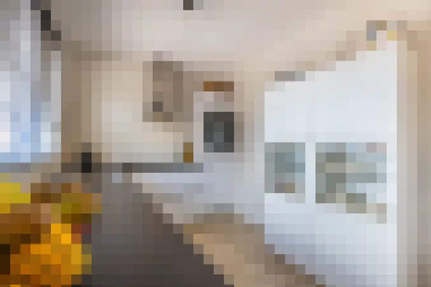 Salomonsonstraat 46 Almelo thumbnail 14