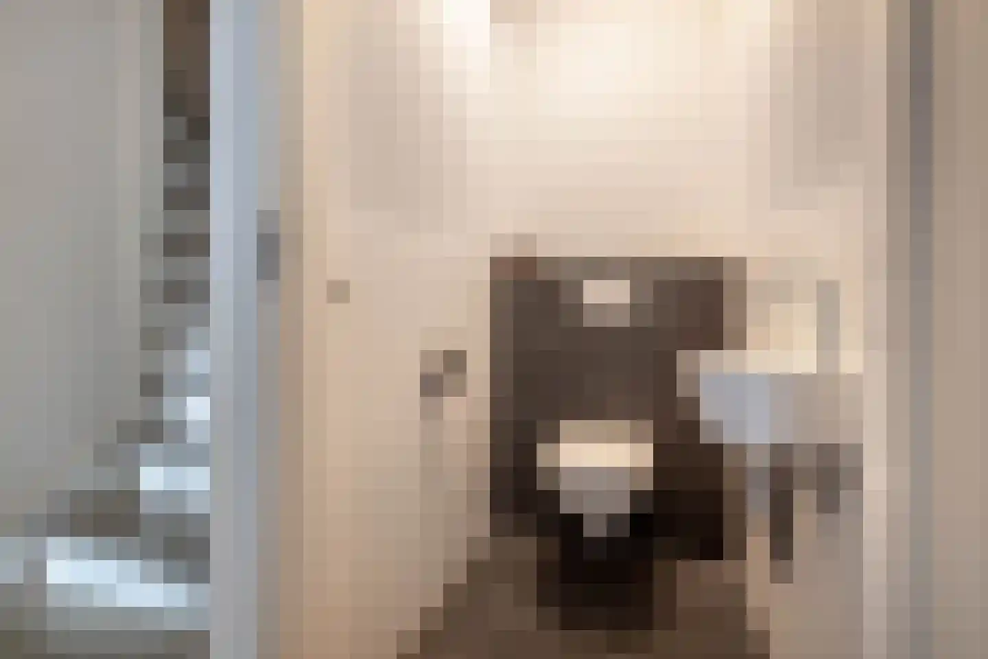 Salomonsonstraat 46 Almelo thumbnail 16