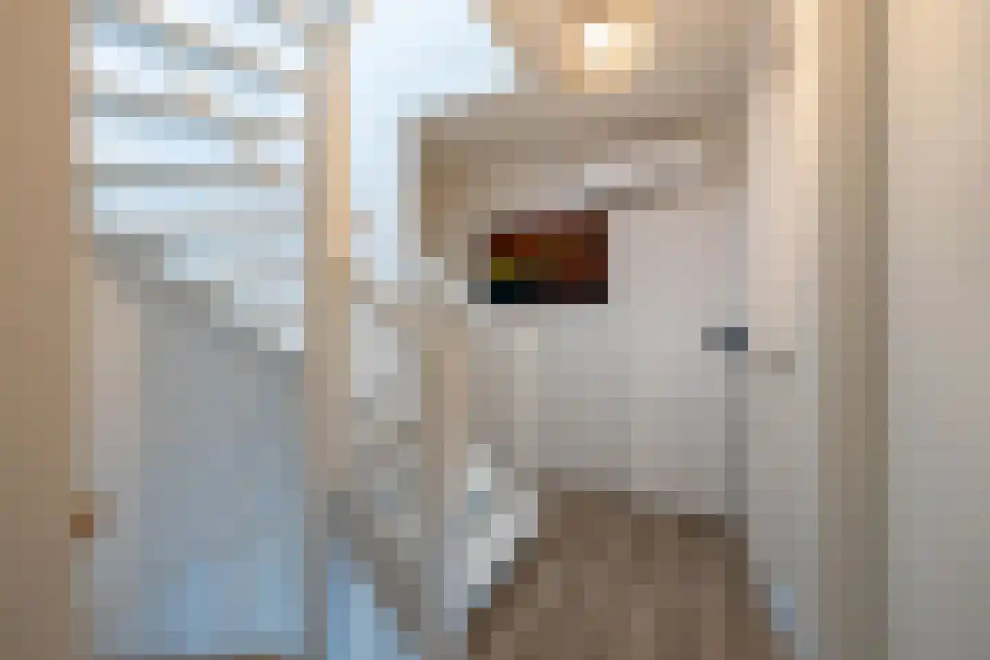 Salomonsonstraat 46 Almelo thumbnail 17