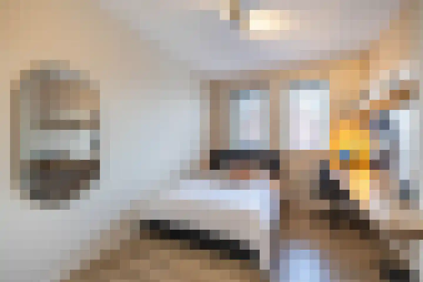 Salomonsonstraat 46 Almelo thumbnail 20