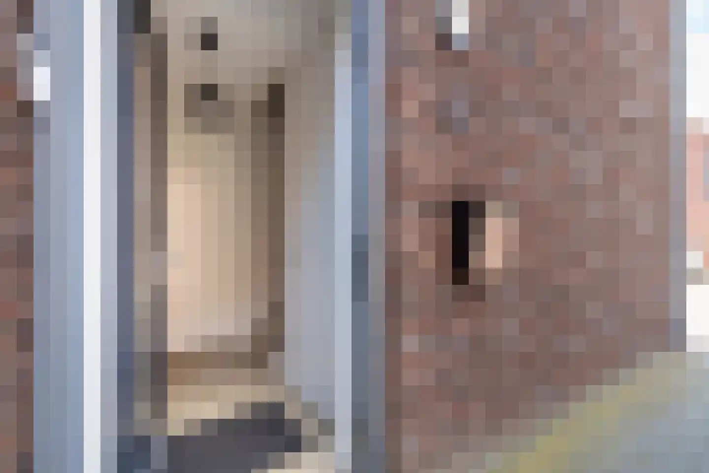 Salomonsonstraat 46 Almelo thumbnail 5