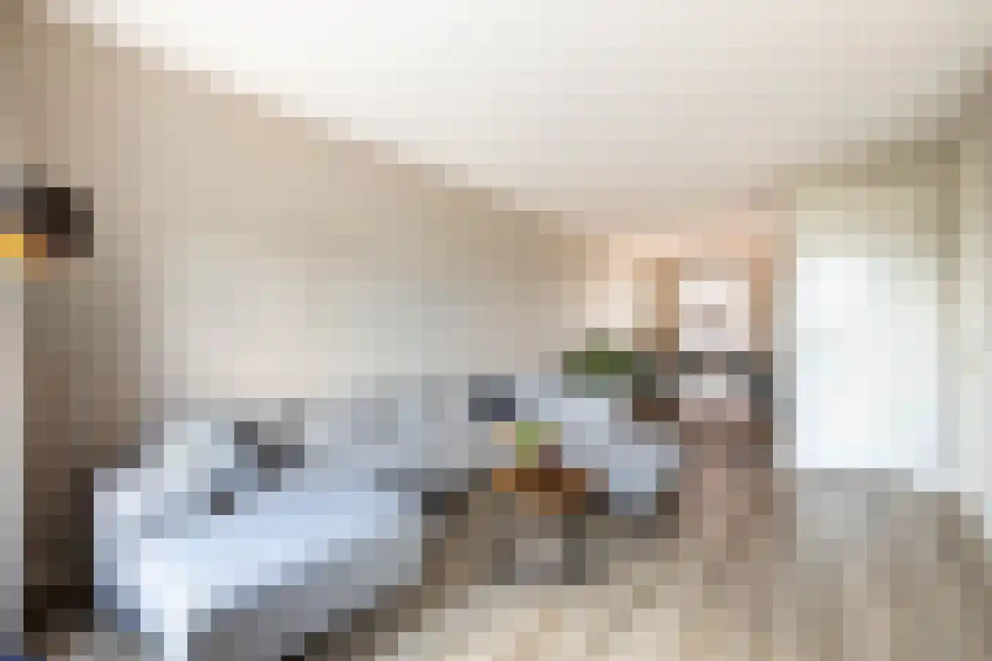 Salomonsonstraat 46 Almelo thumbnail 8