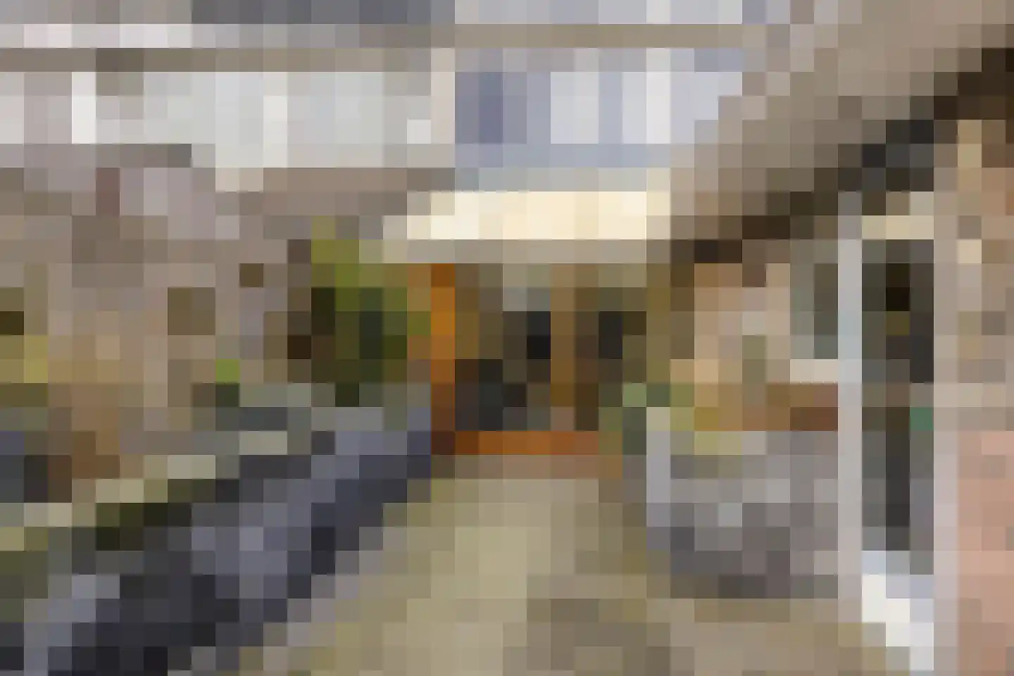 Salomonszegel 114 Leeuwarden thumbnail 39