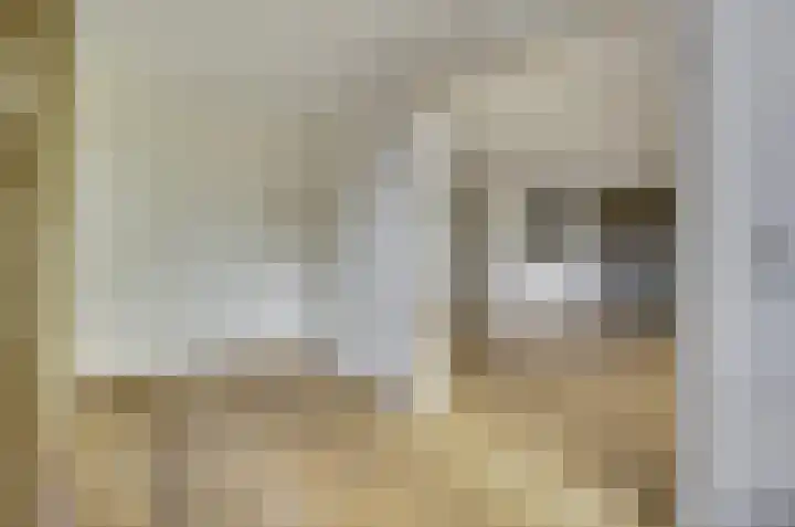 Salomonszegel 12 Deventer thumbnail 10