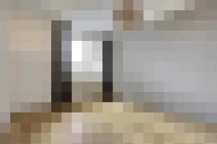 Salomonszegel 12 Deventer thumbnail 11