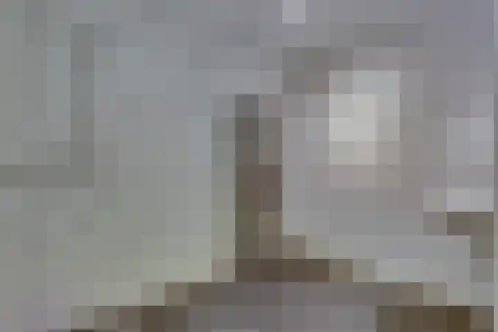 Salomonszegel 12 Deventer thumbnail 13