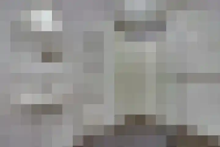 Salomonszegel 12 Deventer thumbnail 14