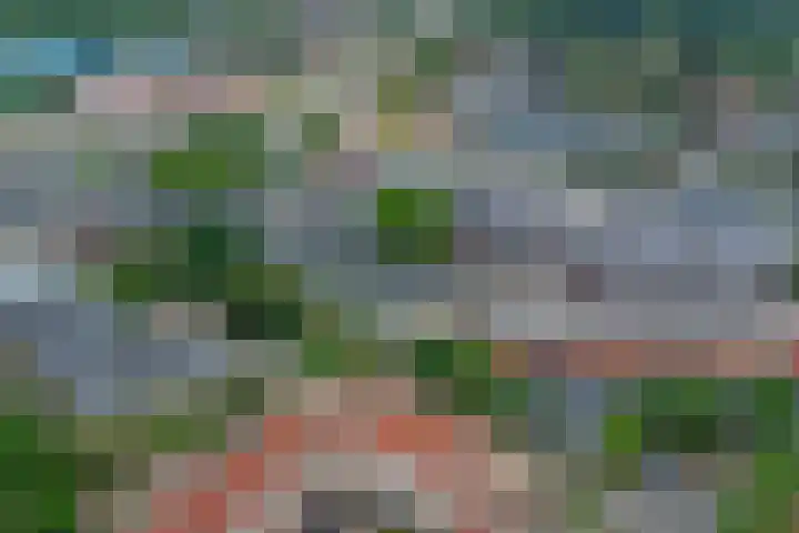 Salomonszegel 12 Deventer thumbnail 21