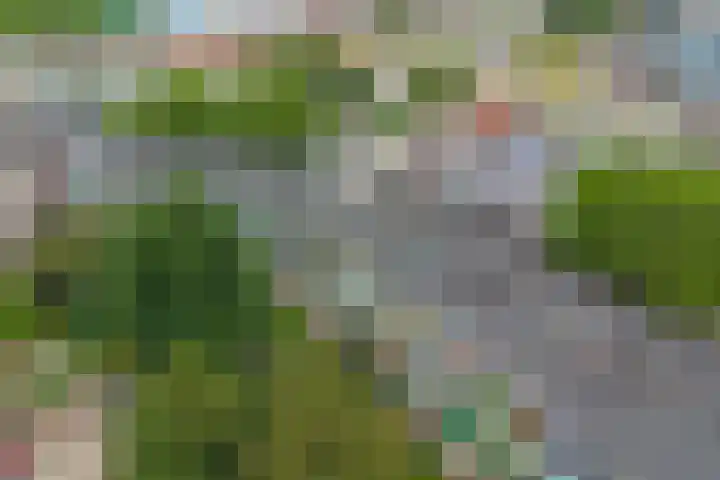 Salomonszegel 12 Deventer thumbnail 22