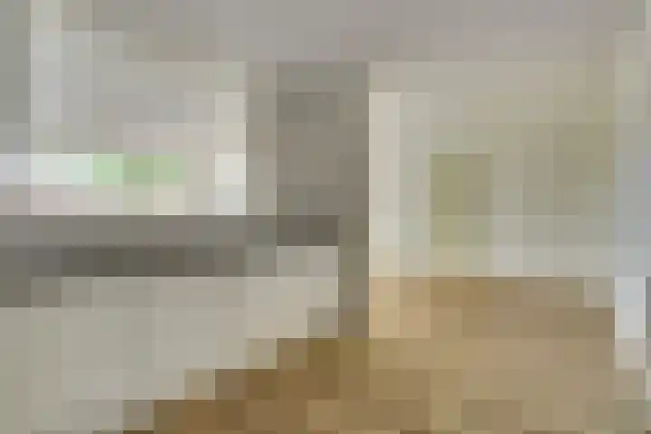 Salomonszegel 12 Deventer thumbnail 6