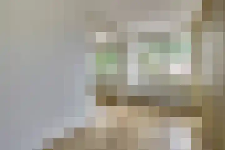 Salomonszegel 12 Deventer thumbnail 9