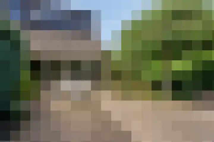 Salomonszegel 129 Apeldoorn thumbnail 14