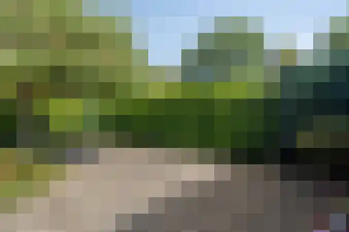 Salomonszegel 129 Apeldoorn thumbnail 15