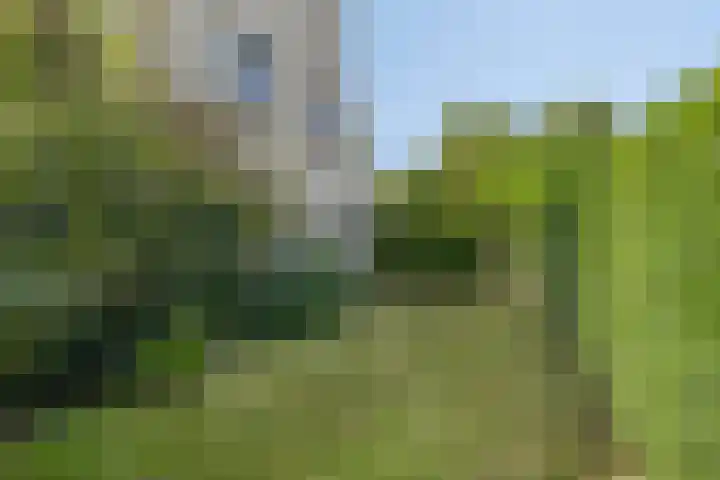 Salomonszegel 129 Apeldoorn thumbnail 17