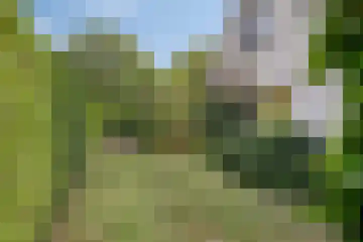 Salomonszegel 129 Apeldoorn thumbnail 18