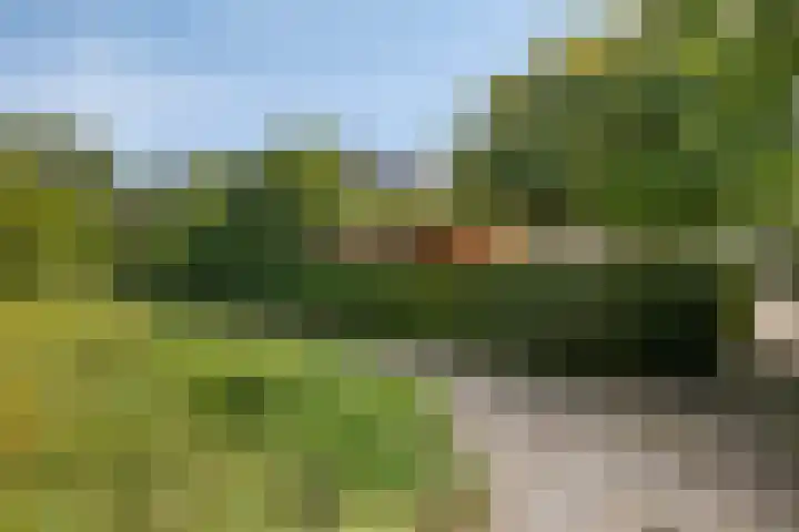 Salomonszegel 129 Apeldoorn thumbnail 35