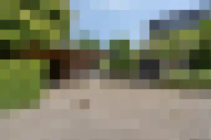 Salomonszegel 129 Apeldoorn thumbnail 4