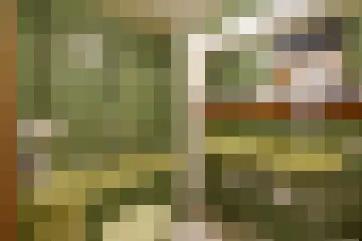 Salomonszegel 135 Apeldoorn thumbnail 18