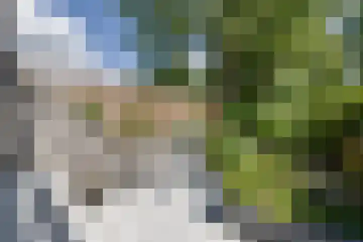Salomonszegel 135 Apeldoorn thumbnail 27