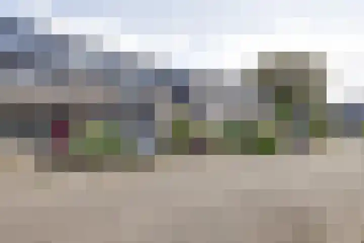 Salomonszegel 135 Apeldoorn thumbnail 29