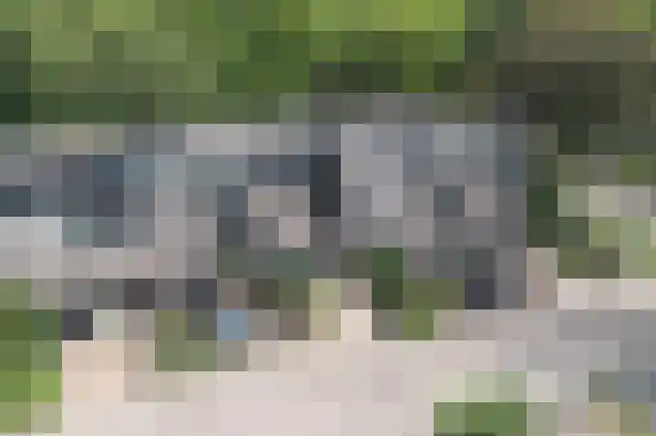 Salomonszegel 135 Apeldoorn thumbnail 31
