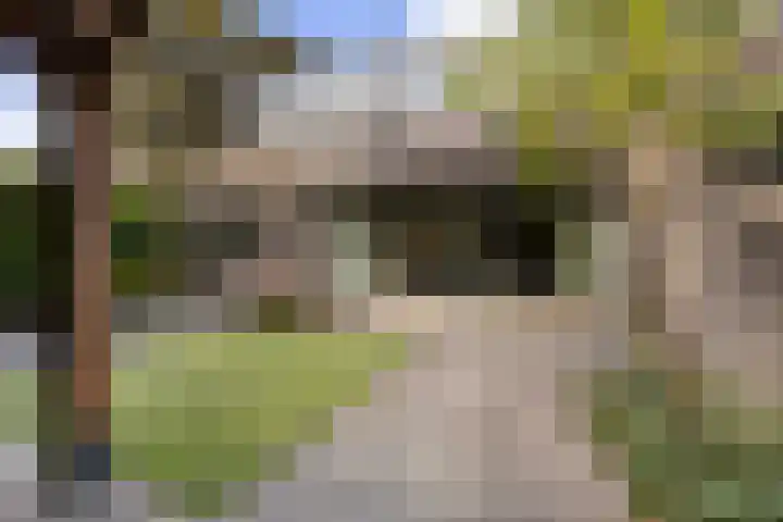 Salomonszegel 137 Apeldoorn thumbnail 24