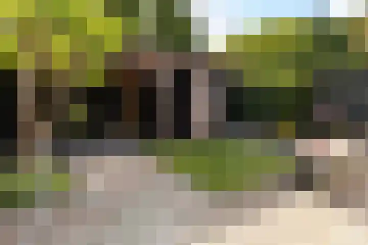 Salomonszegel 137 Apeldoorn thumbnail 25